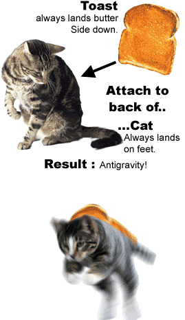 Toast versus cat funny at PMSLweb.com