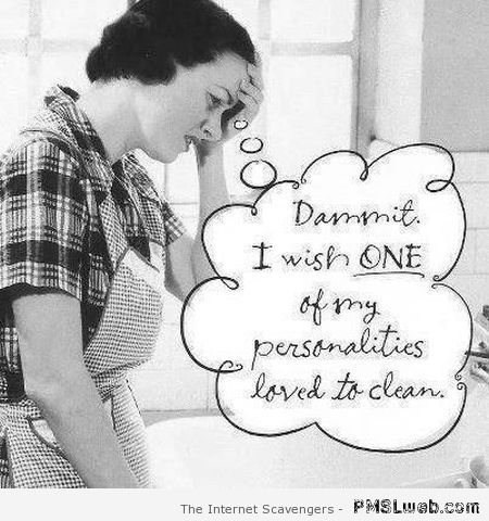 I wish one of my personalities loved to clean at PMSLweb.com