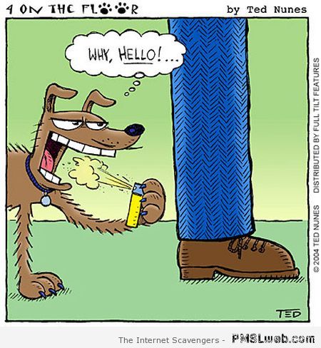 Dog’s sexy time with the leg cartoon 