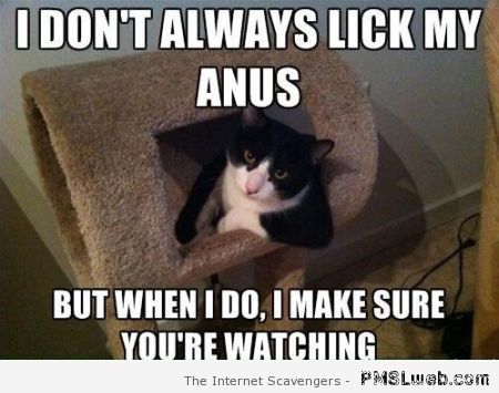 I don’t always lick my anus cat meme at PMSLweb.com