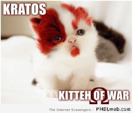 Kratos kitten of war meme – Weekend lol at PMSLweb.com