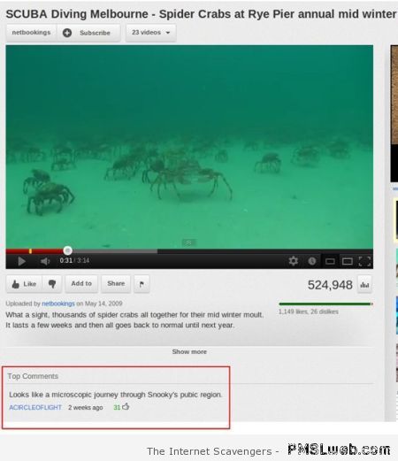 Funny Youtube comment crab video at PMSLweb.com