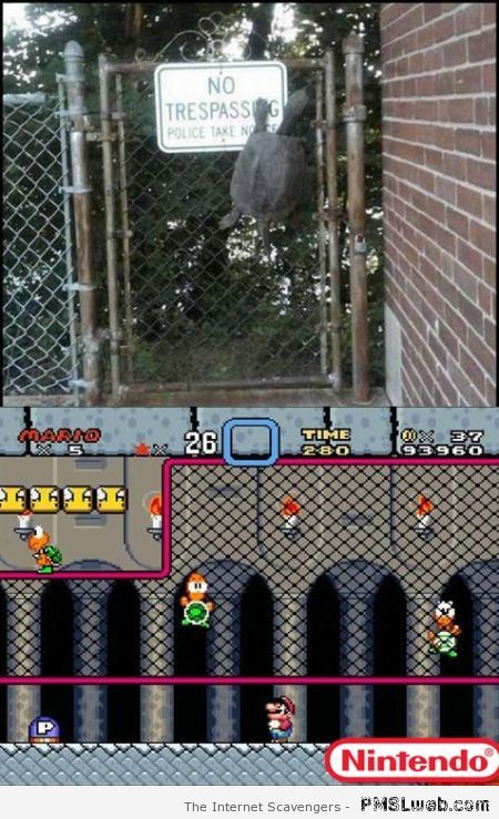 Mario Bros turtle humor at PMSLweb.com
