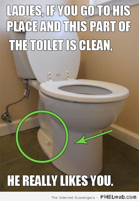 If this part of the toilet is clean meme � Hump day WTF at PMSLweb.com