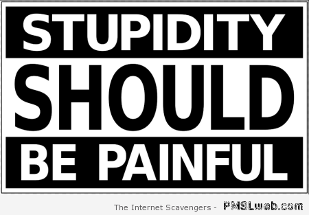 Stupidity should be painful at PMSLweb.com