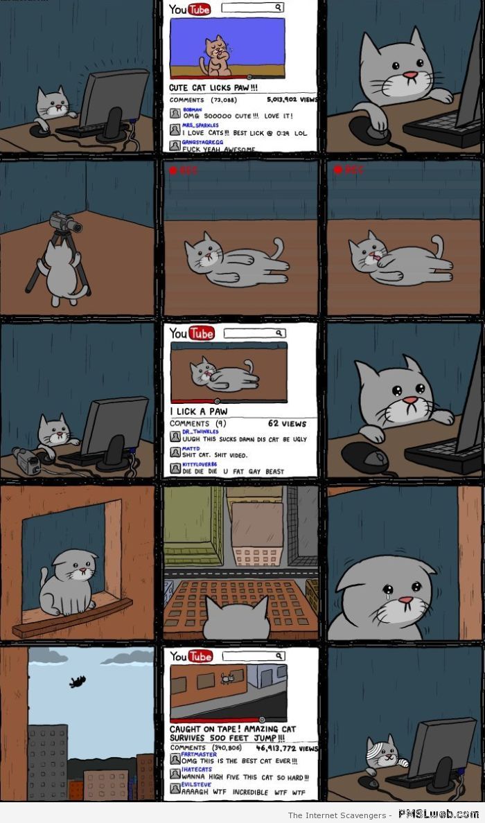 Funny cat on youtube cartoon at PMSLweb.com