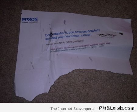 Epson printer fail – Computer era funnies at PMSLweb.com