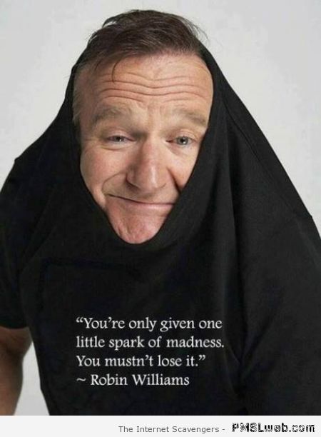 Spark of Madness Robin Williams at PMSLweb.com