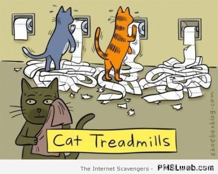 Cat treadmills cartoon – Reckless Monday at PMSLweb.com