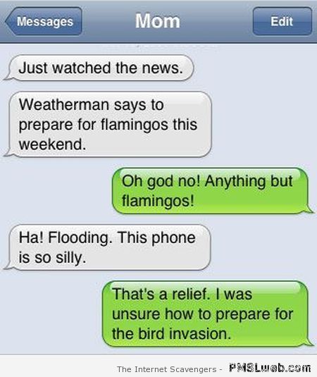 Weatherman says to prepare for flamingos autocorrect at PMSLweb.com