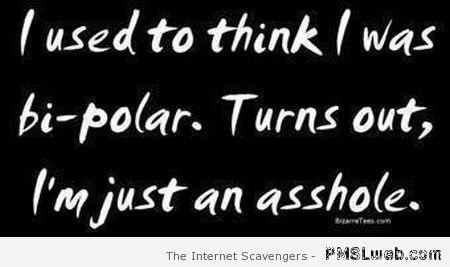 I use to think I was bi-polar funny quote at PMSLweb.com