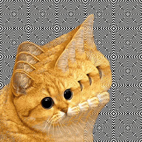 Funny optical cat illusion – Funny Saturday at PMSLweb.com