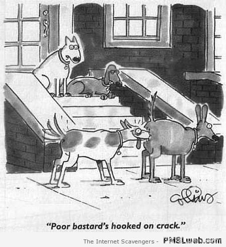 Dog hooked on crack funny cartoon at PMSLweb.com