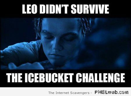 Leo Dicaprio didn�t survive the bucket challenge meme at PMSLweb.com
