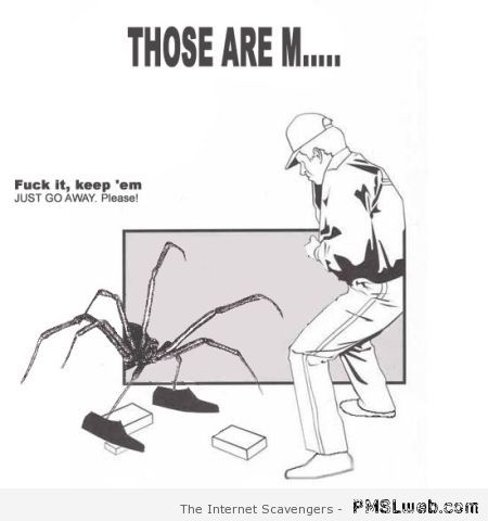Spider humor at PMSLweb.com