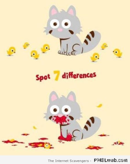 Evil cat spot the 7 differences game at PMSLweb.com