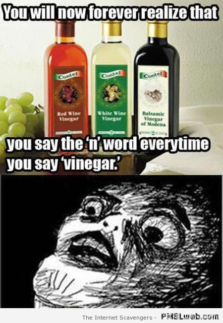 The N word in vinegar meme at PMSLweb.com