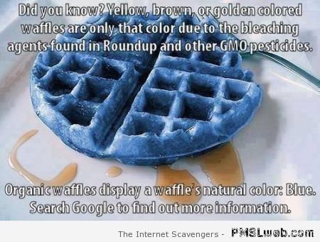 Blue waffles meme at PMSLweb.com