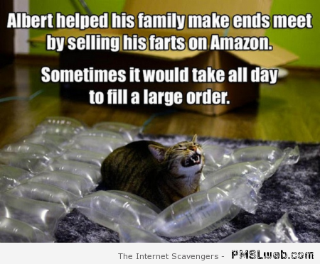 Funny farting cat meme at PMSLweb.com