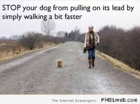 Funny walking your dog life hack at PMSMweb.com