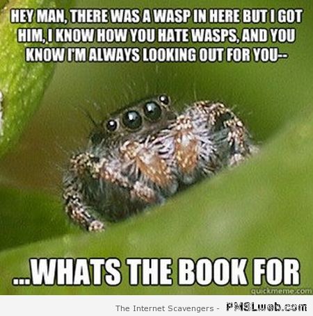 What’s the book for spider meme at PMSLweb.com