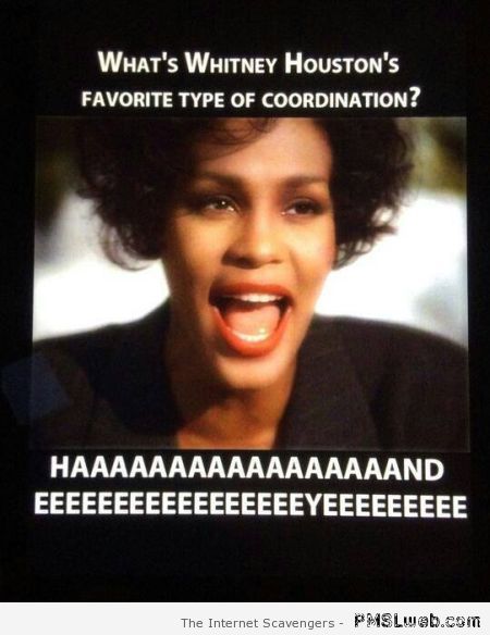 Whitney Houston joke at PMSLweb.com