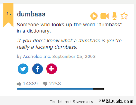 Funny dumb*ss definition at PMSLweb.com