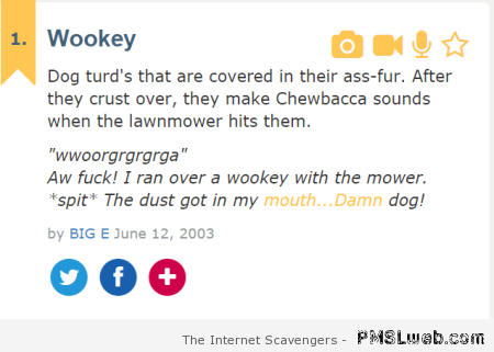 Funny definition of wookey at PMSLweb.com