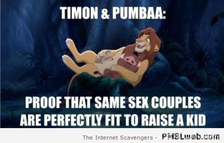 Timon and Pumbaa same sex couple meme at PMSLweb.com