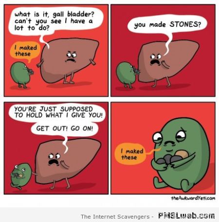 Funny kidney cartoon at PMSLweb.com