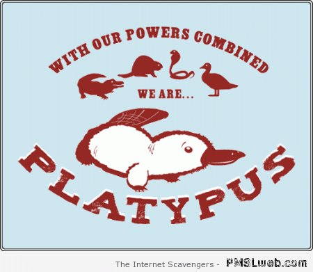 We are platypus humor at PMSLweb.com