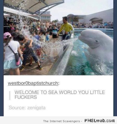 Welcome to sea world humor at PMSLweb.com