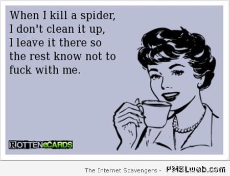 When I kill a spider funny ecard at PMSLweb.com