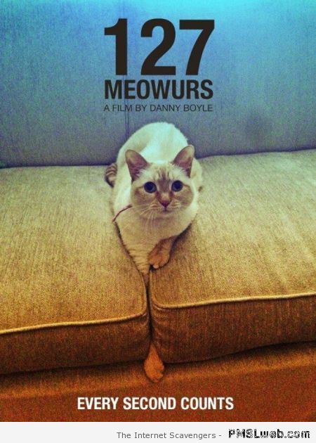 127 meowurs at PMSLweb.com