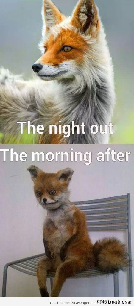 The night out vs the morning after at PMSLweb.com