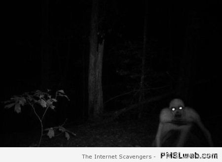 Creepy night creature at PMSLweb.com