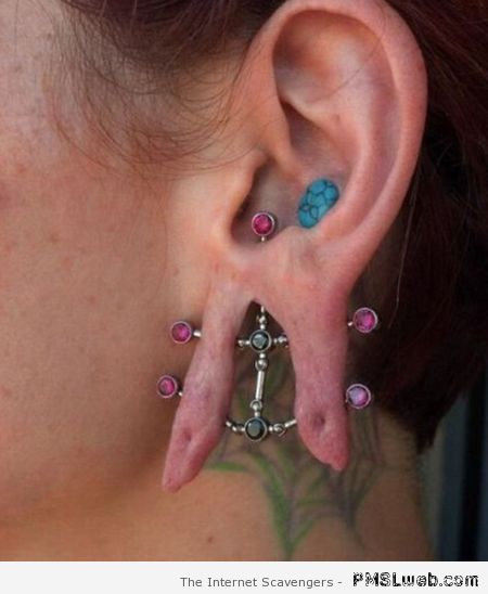 Gross ear piercing – Gross pictures at PMSLweb.com