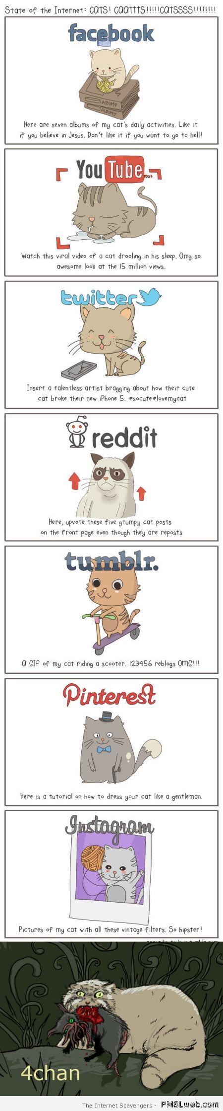 Cats on the different internet social networks humor at PMSLweb.com