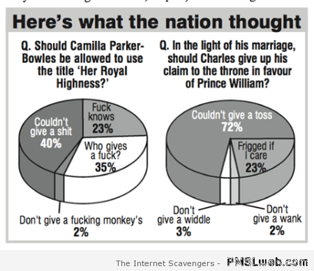 Funny Camilla Parker Bowles survey at PMSLweb.com