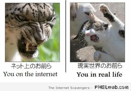 You on the internet versus in real life at PMSLweb.com
