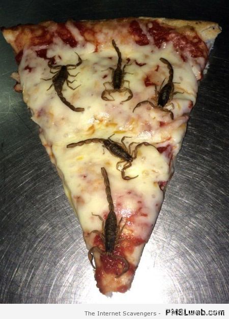 Scorpio pizza – Gross pictures at PMSLweb.com