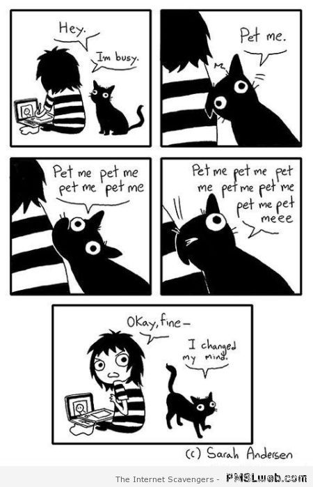 Pet me funny cat cartoon at PMSLweb.com