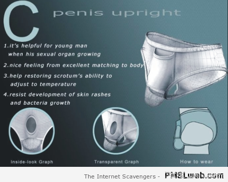 Penis upright underwear at PMSLweb.com