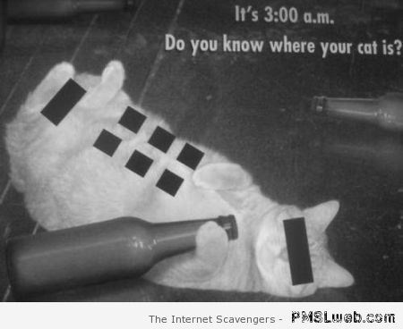 Do you know where your cat is humor at PMSLweb.com