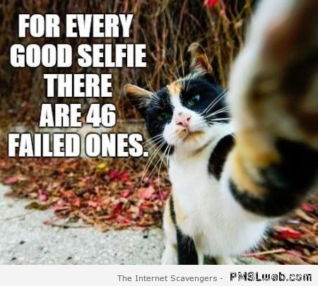 For every good selfie meme at PMSLweb.com