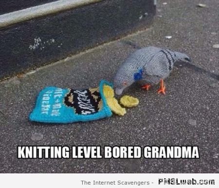 Knitting level bored grandma meme at PMSLweb.com