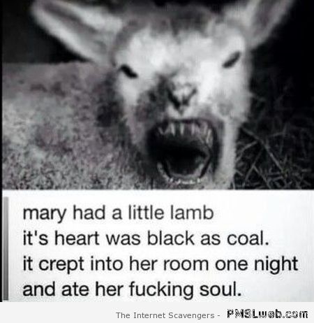 Mary had a little lamb humor at PMSLweb.com