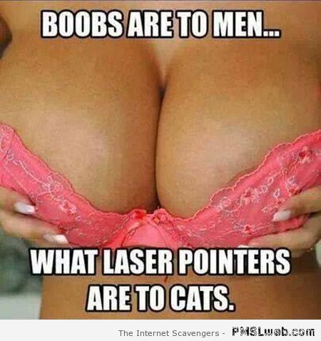 Boobs are to men meme at PMSLweb.com