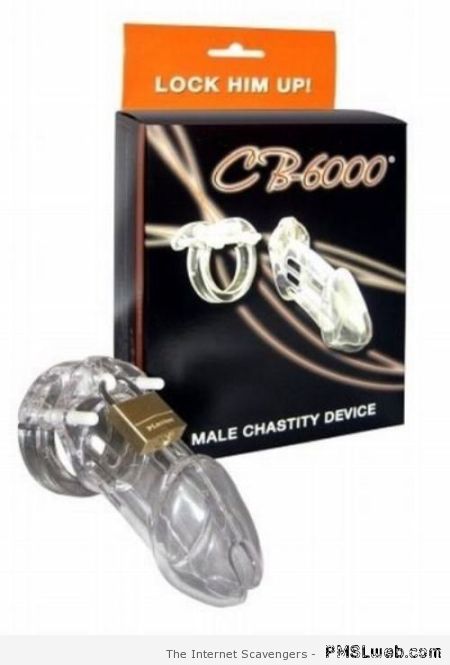 Male chastity device at PMSLweb.com