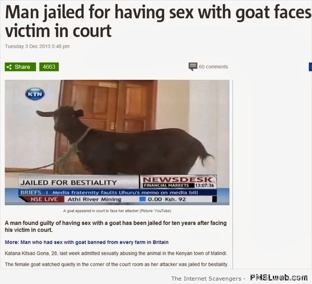 Man jailed for having sex with a goat at PMSLweb.com